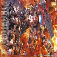 mg_unicorn_gundam_hd_color_ms_cage